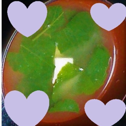 小松菜と絹ごし豆腐のお味噌汁、とっても美味しかったです！
レシピ、教えて下さってありがとうございます！！
